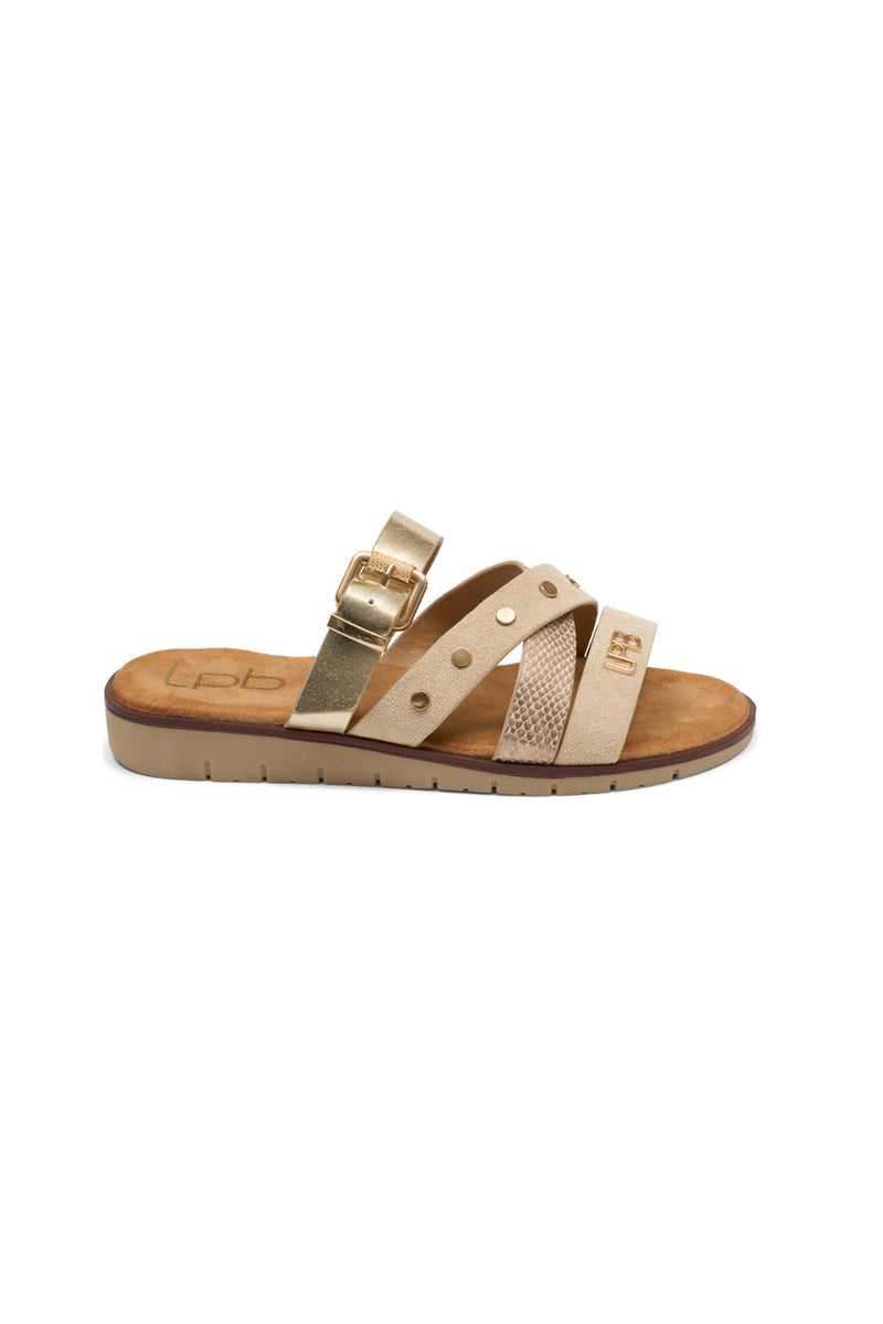 LPB MULES NOUMA